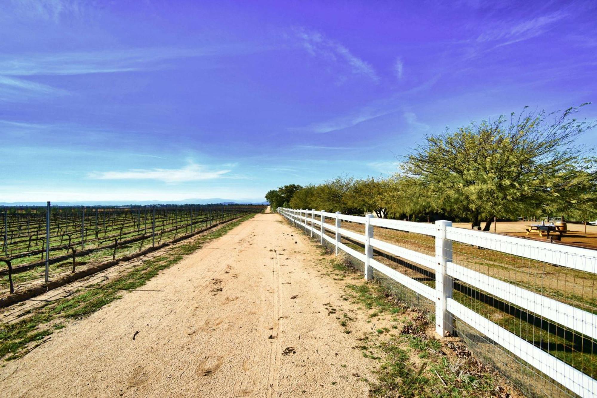 Peppertree Lane Ranch -- Seven-Acre Ranch In The Heart Of Wine Country Hotell Temecula Exteriör bild